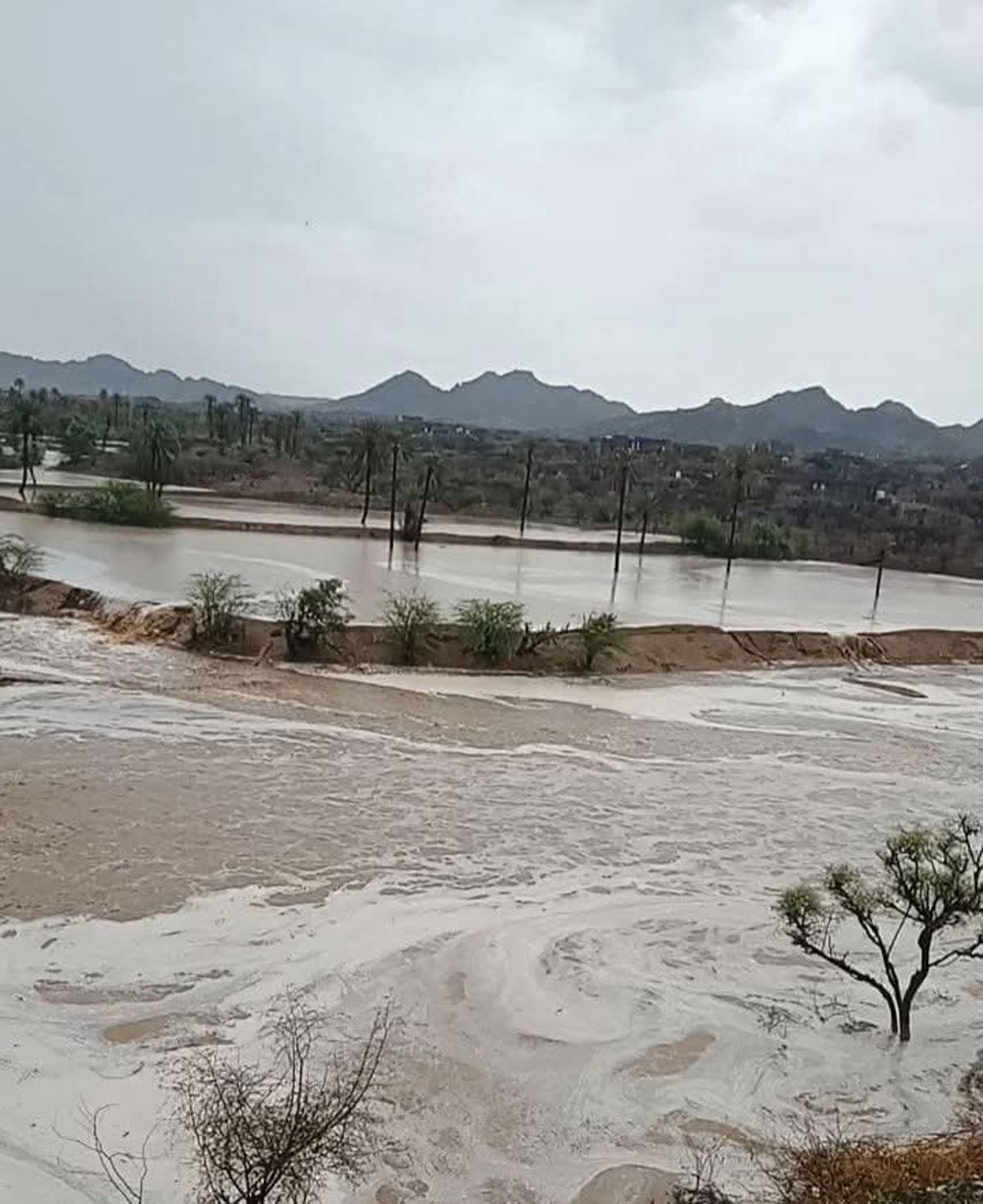 ضحايا ومفقودون جراء سيول جارفة تضرب ساحل تعز