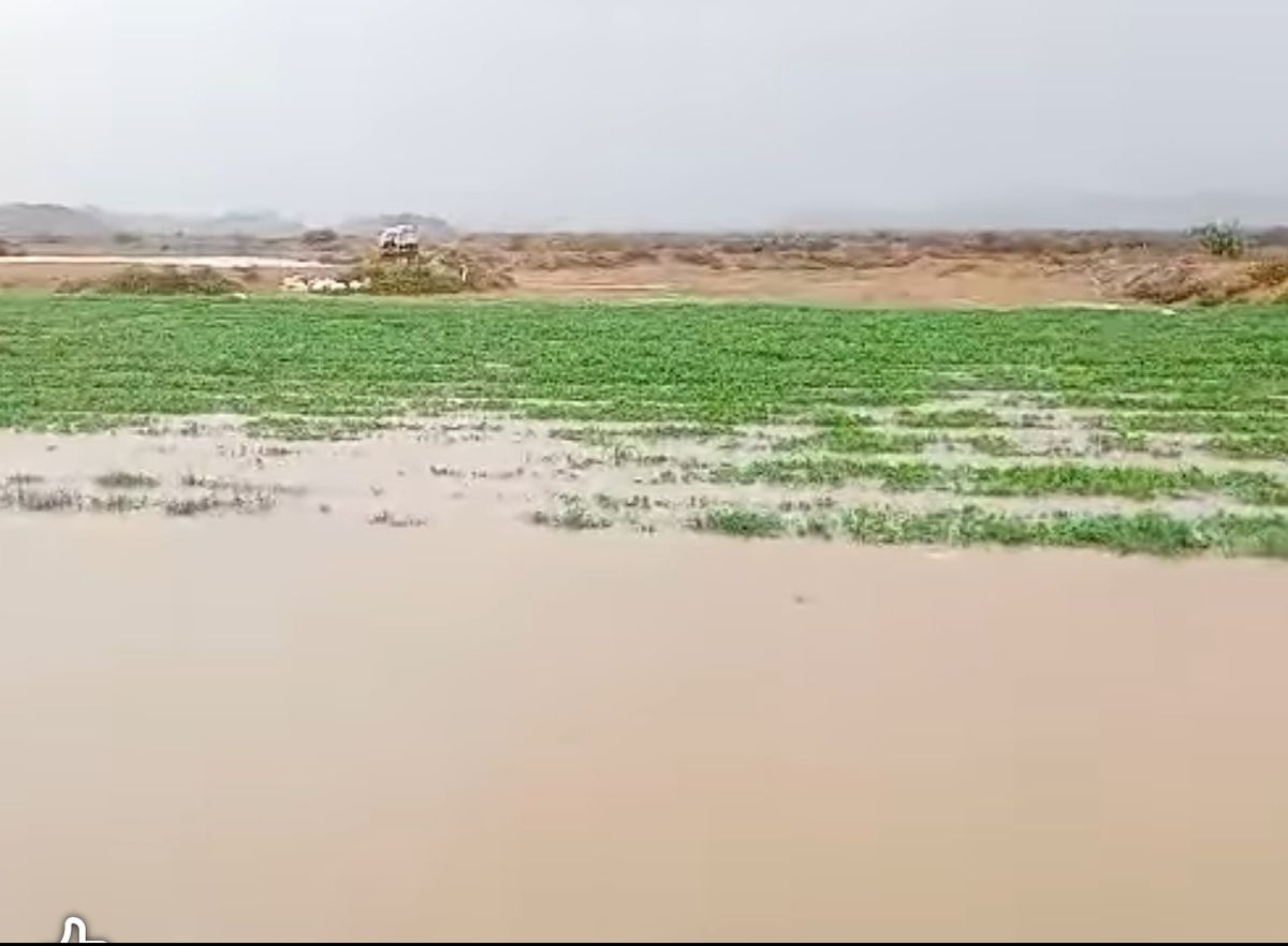 وفاة طفلة غرقًا في أحد أودية منطقة الحامية بشبوة