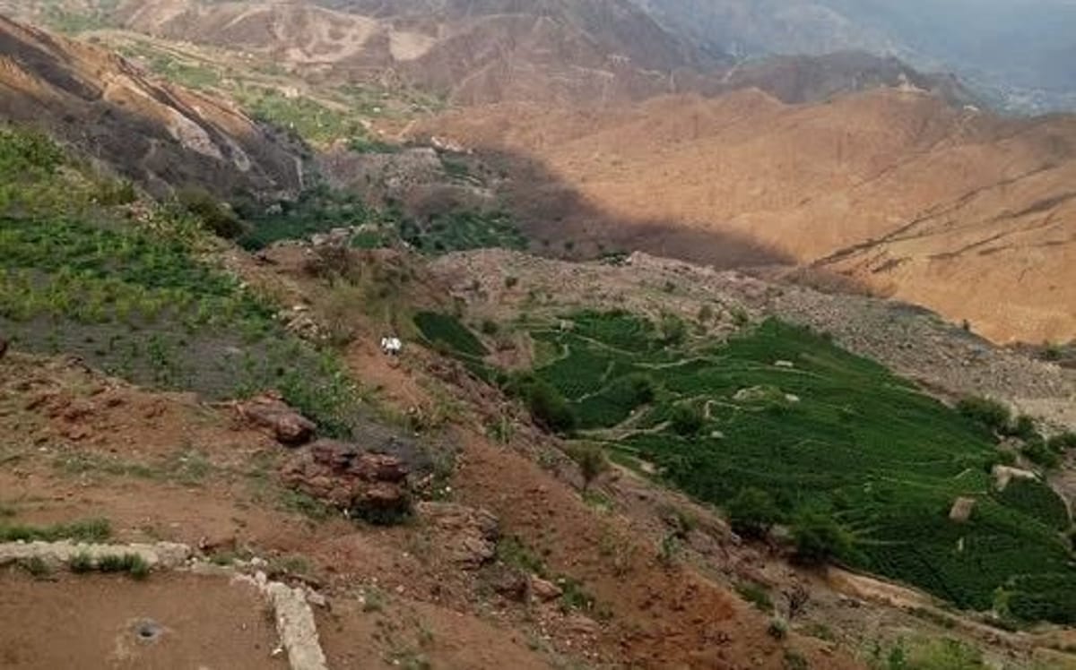 الأرصاد يحذر من التدفق المفاجئ للسيول