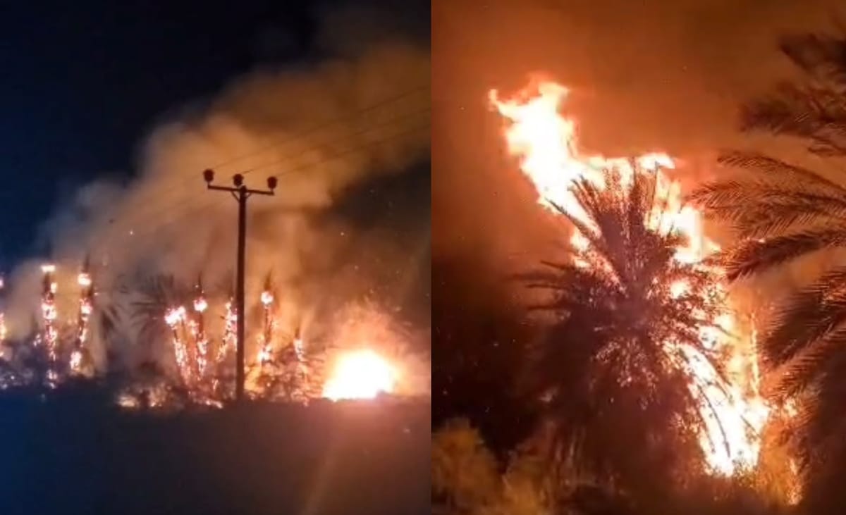 حريق كبير يلتهم أشجار النخيل بمديرية القطن في حضرموت