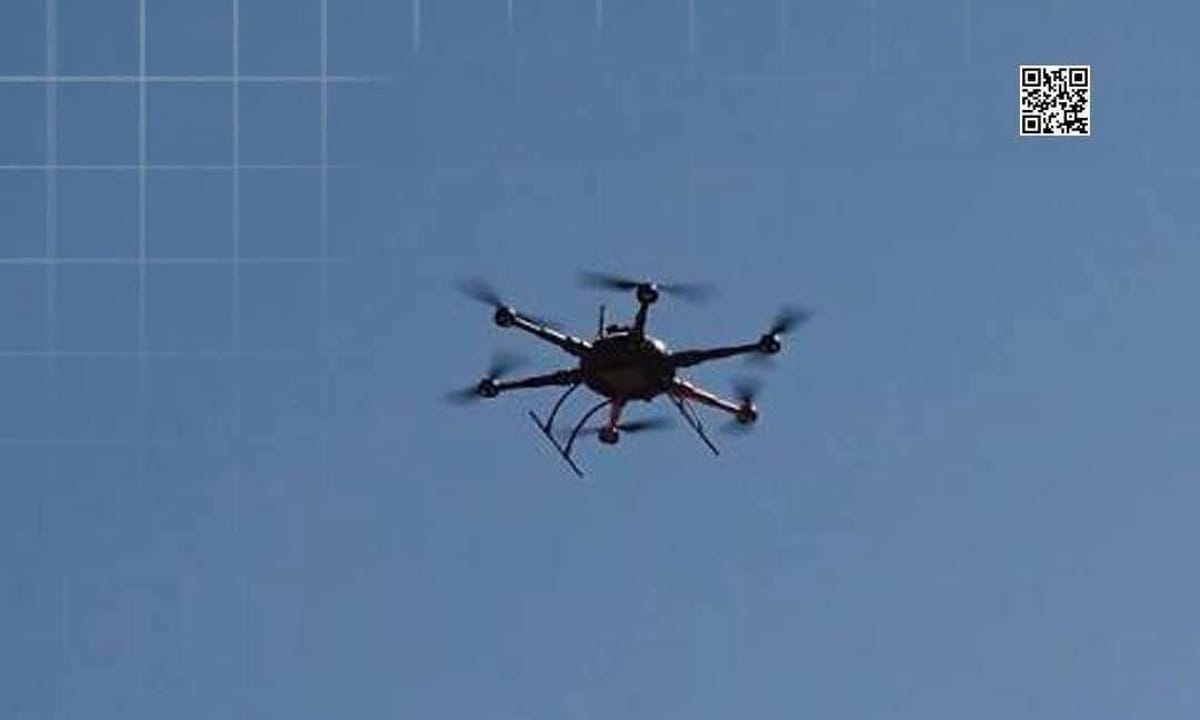 سقوط ضحايا مدنيين وعدد من المواشي جراء استهداف حوثي لقرية جنوبي الحديدة