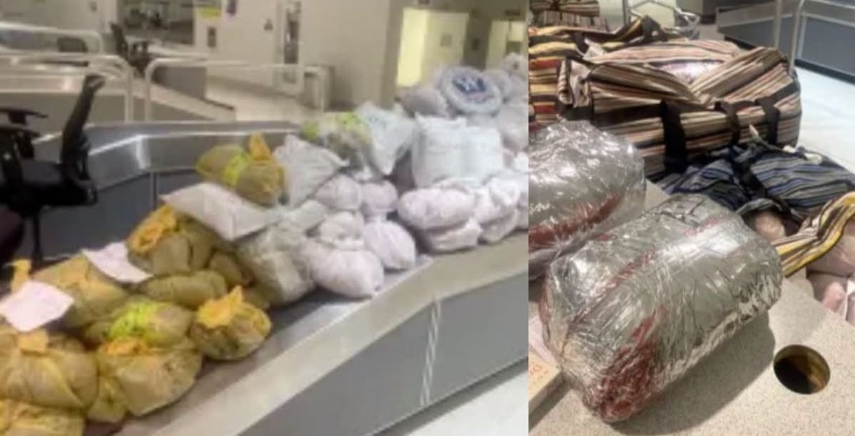 ضبط نحو 737 كيلوغراماً من القات في مطاري بالتيمور وواشنطن خلال أيام