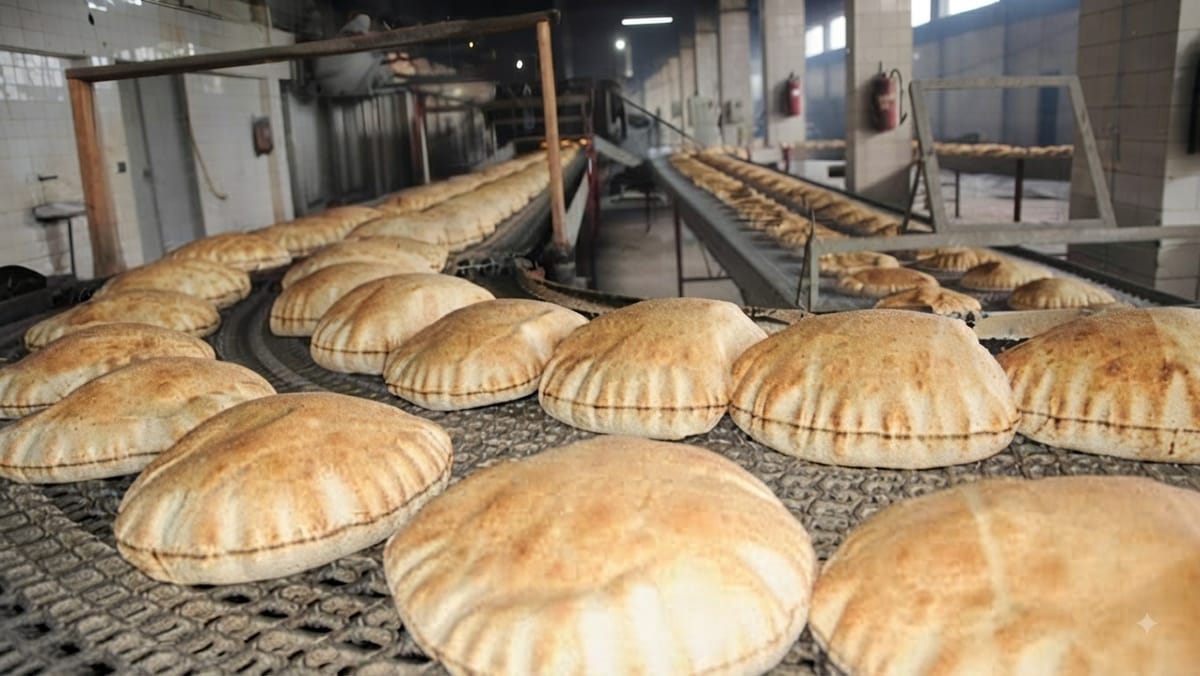 مخابز صنعاء تتجه لإنتاج الخبز بالحبوب الكاملة بدلا عن الدقيق الأبيض