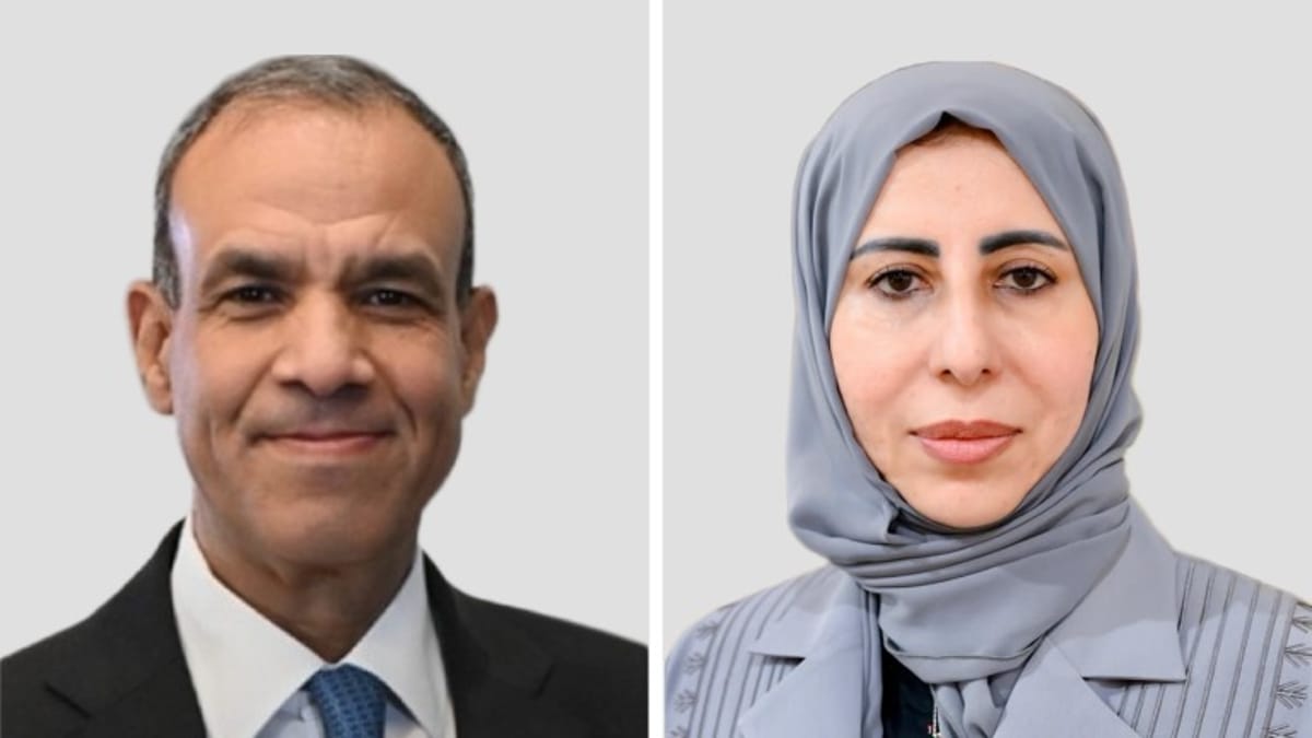 مصر تؤكد دعمها لوحدة اليمن وسلامة أراضيه