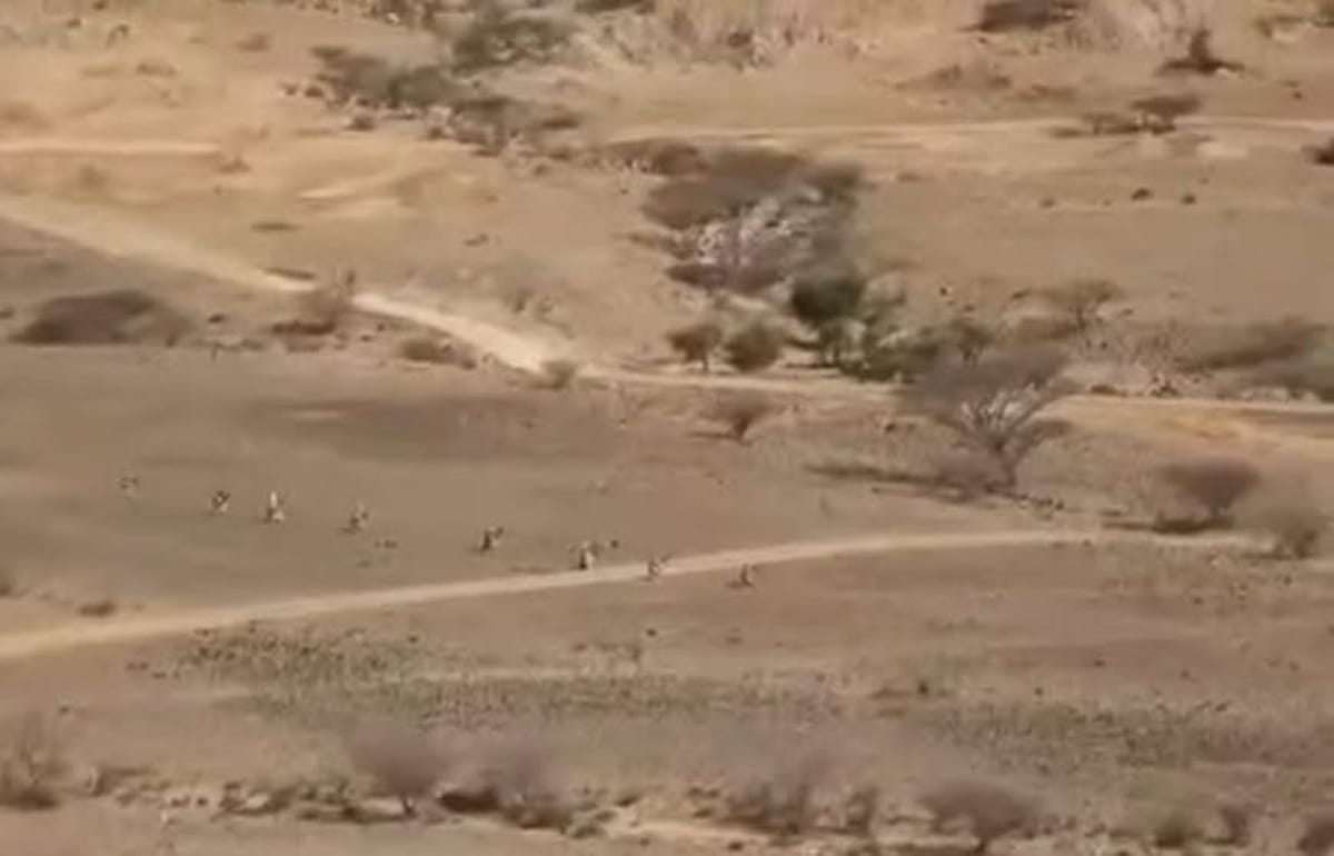 Nation Shield Forces Thwart Houthi Attack on Kahboub Front
