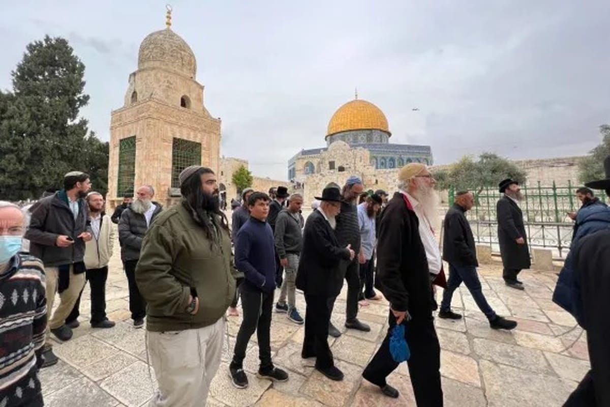 مئات المستوطنين يقتحمون المسجد الأقصى تحت حماية الاحتلال