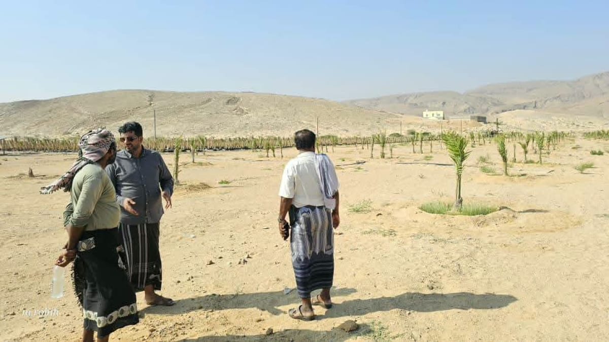المهرة.. مدير مكتب الزراعة يؤكد أهمية الاستثمار الزراعي 
