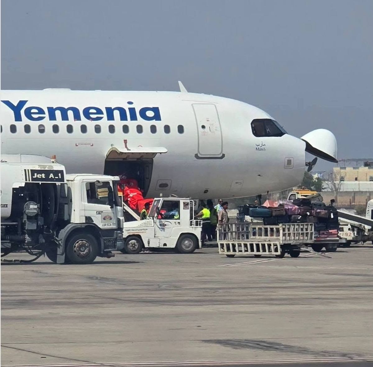 Committee Formed to Investigate Yemenia Airways Incident in Jordan