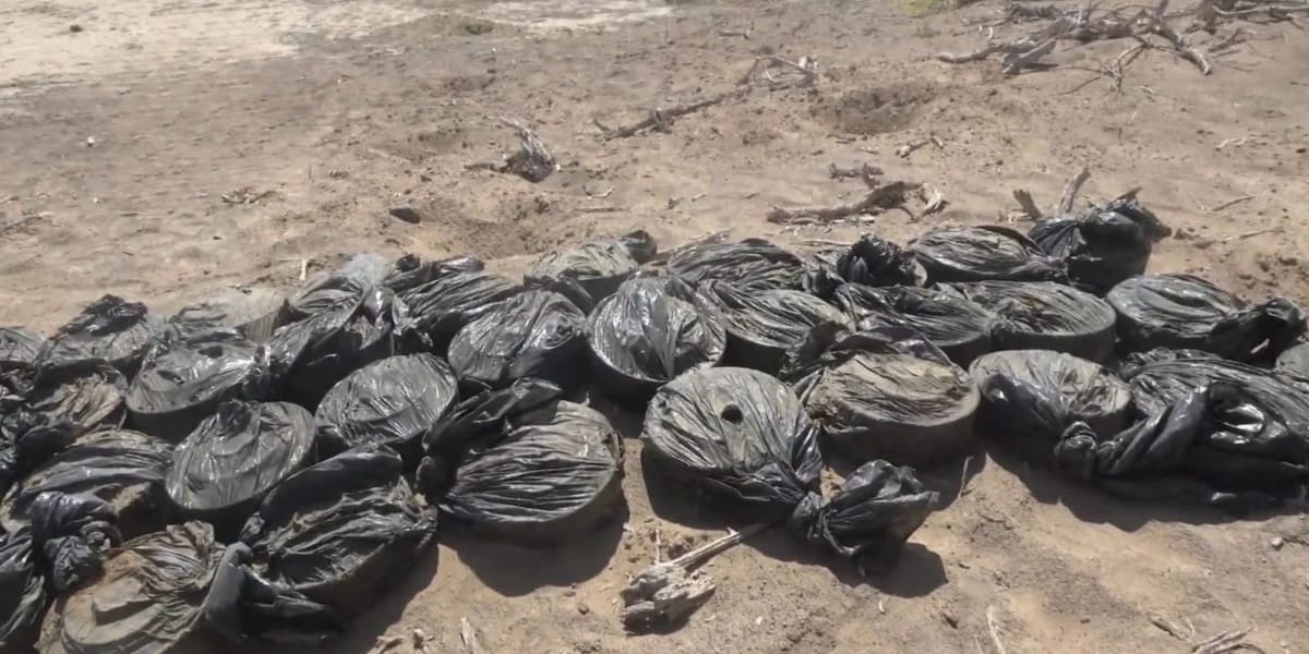 مقتل طفلين شقيقين بانفجار لغم حوثي في الحديدة