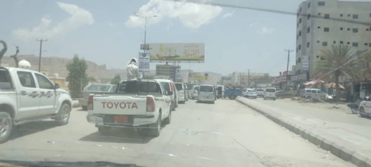 شبوة.. وفاة طفل بعد تعرّضه لعضة قط مسعور