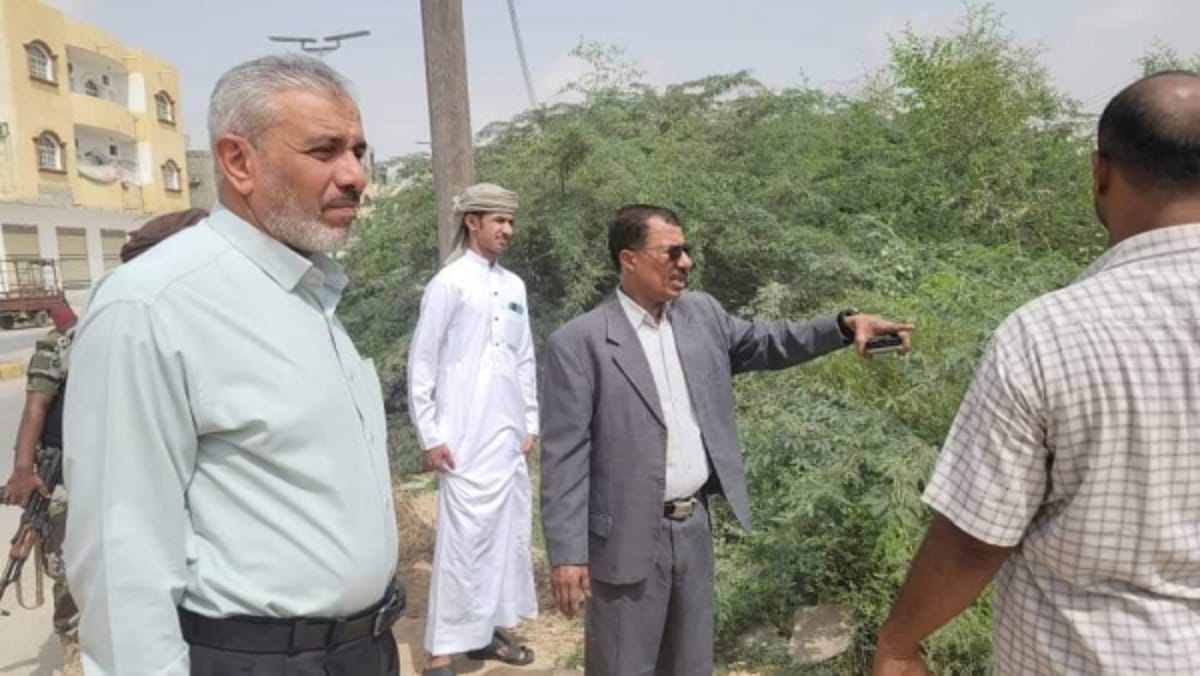 المهرة.. تدشين إزالة أشجار السيسبان في طرقات مدينة الغيضة