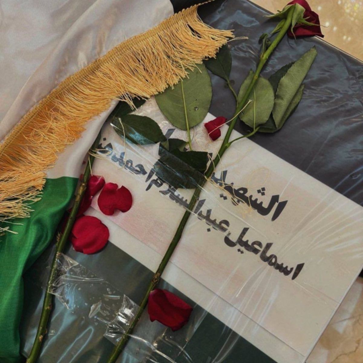 التنظيم الناصري يدين اغتيال "إسماعيل هنية" ويدعو لوقف العدوان على غزة
