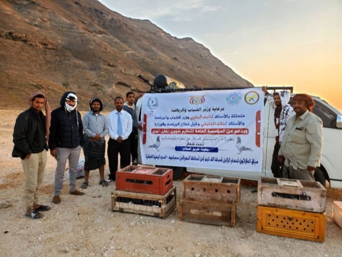 انطلاق بطولة الحمام الزاجل من حوف المهرة إلى عدة محافظات