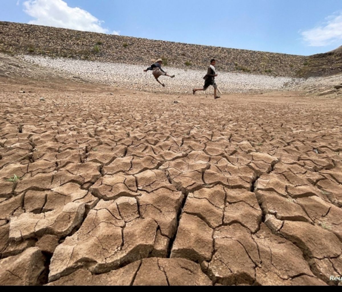 الفاو تحذر من خطر استمرار الجفاف في اليمن