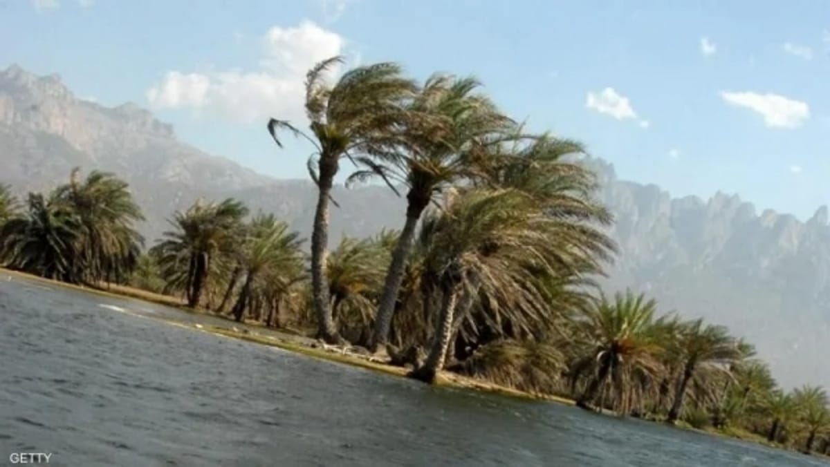 الأرصاد يحذر من اضطراب البحر حول سقطرى وارتفاع الموج