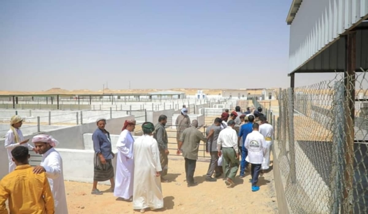 افتتاح المحجر البيطري لتصدير الحيوانات بمديرية شحن في المهرة