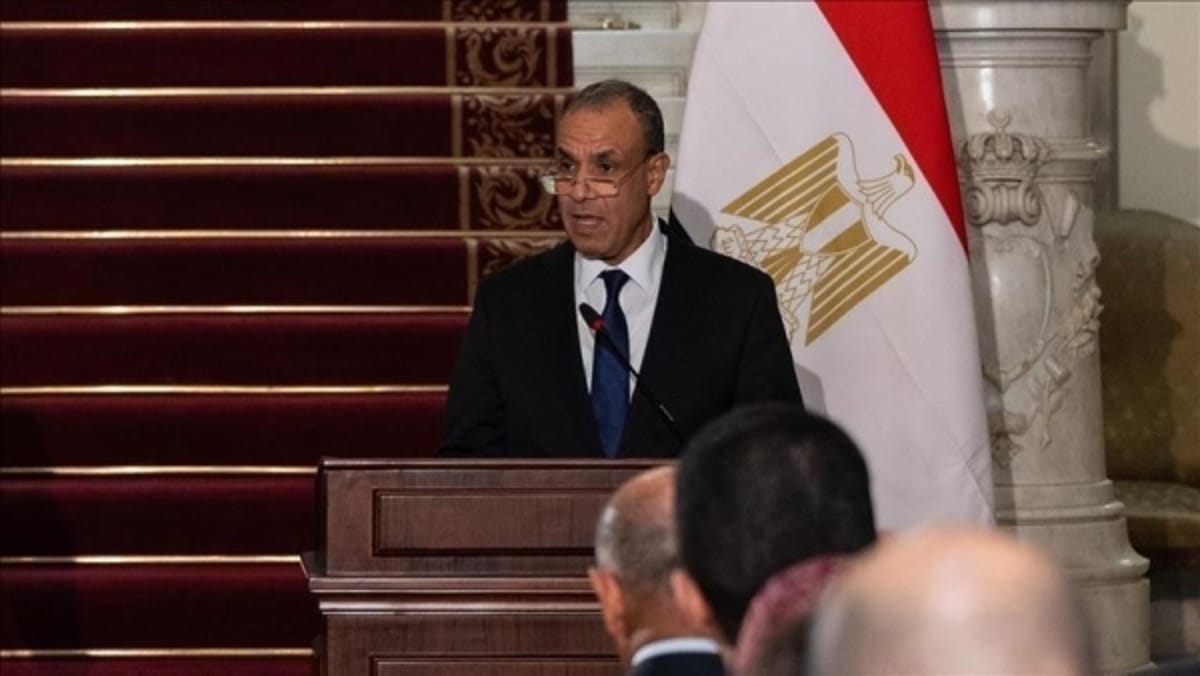 مصر تدعو لـ"معالجات جذرية" لنزاعات المنطقة لضمان استقرار البحر الأحمر