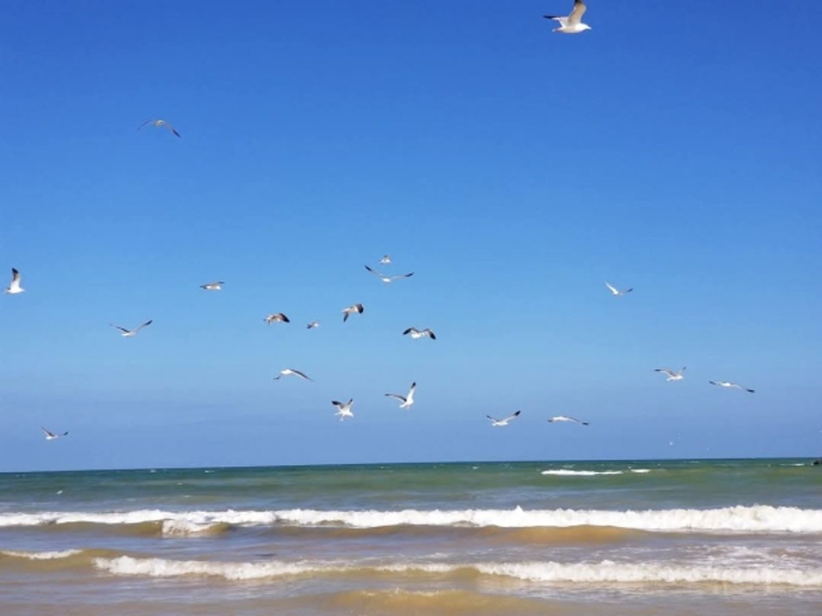 المهرة.. خفر السواحل تُحذّر من ارتياد البحر والسفر إلى سقطرى