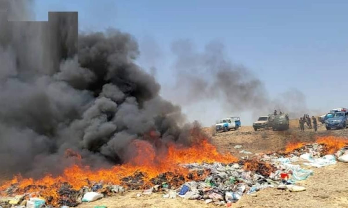 إتلاف أكثر من 17 طناً من الحشيش المخدر في صعدة
