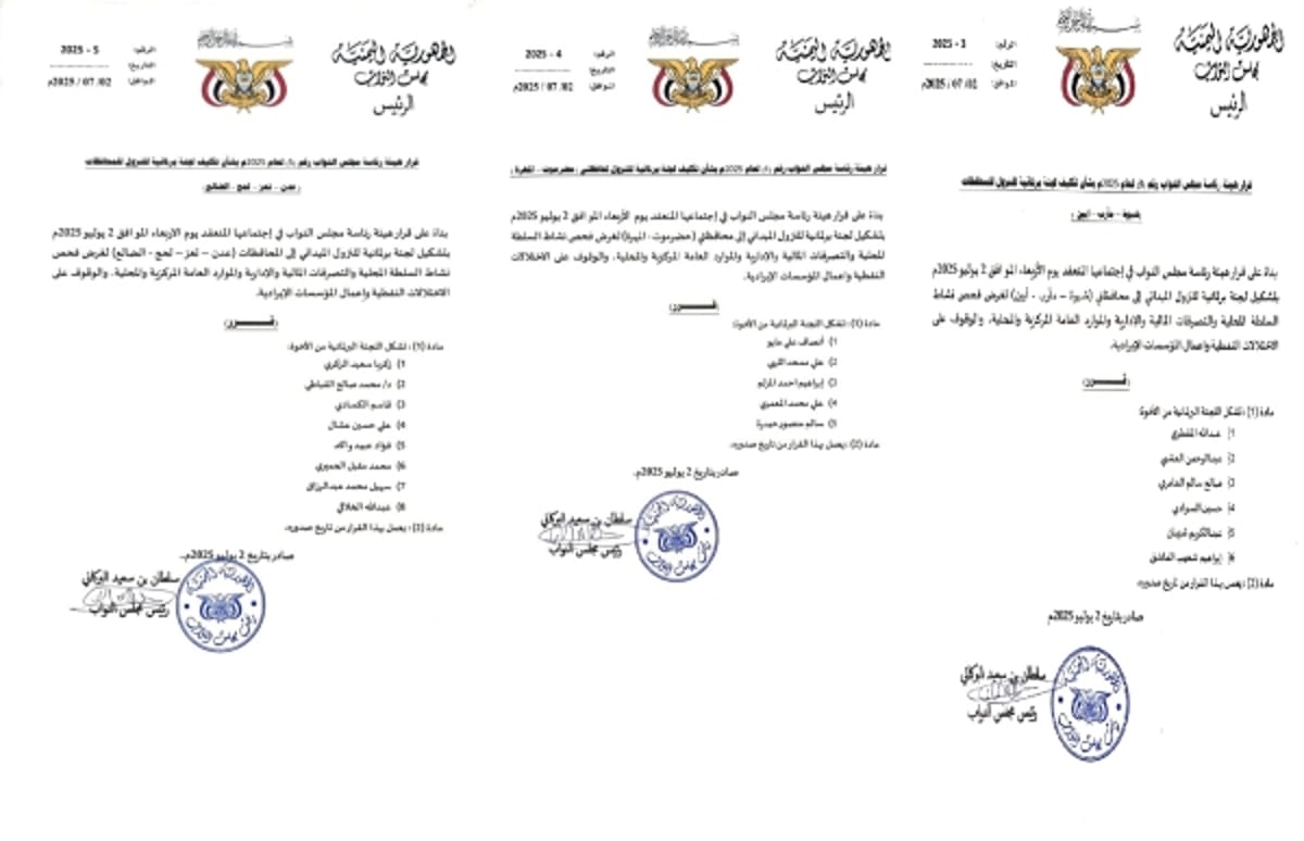 مجلس النواب يشكّل لجان ميدانية لفحص نشاط السلطات المحلية في عدد من المحافظات