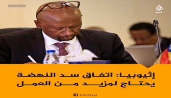 وزير المياه الإثيوبي