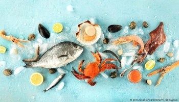 الأسماك تحتوي على العناصر الغذائية المهمة للطفل