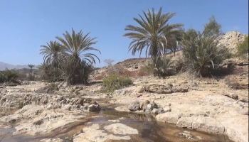 أثّر التسرب على مزارع المواطنين ويهدد حياة السكان