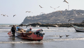 الإفراج عن 19 صيادا يمنيا احتجزتهم السلطات الإرتيرية