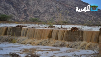أمطار غزيرة في محافظة أبين