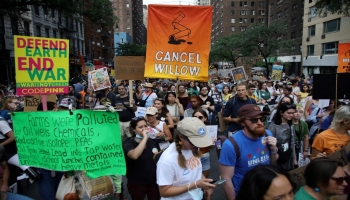 مظاهرات في نيويورك