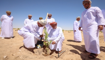 يهدف المشروع لزراعة 30 ألف شجرة ليمون بهدف الوصول إلى الحياد الكربوني في عام 2050م