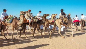 شبوة...تفاعل جماهيري غير مسبوق في مهرجان التراث في وادي بلحارث