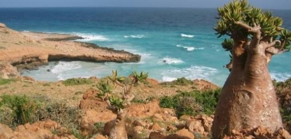 الأرصاد يحذر من ارتفاع موج البحر في سواحل أرخبيل سقطرى