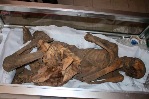 صورة للمومياء المكتشفة في محافظة إب