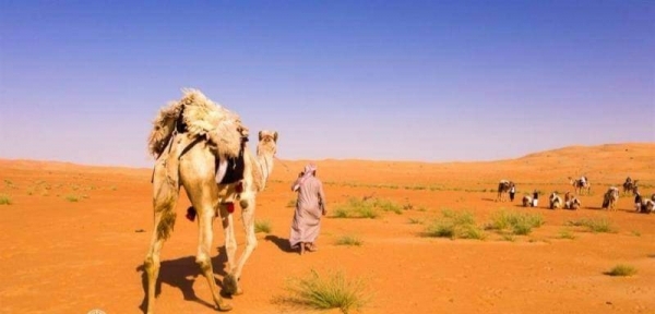 دراسات "جيوفيزيائية" في المناطق الصحراوية بالمهرة