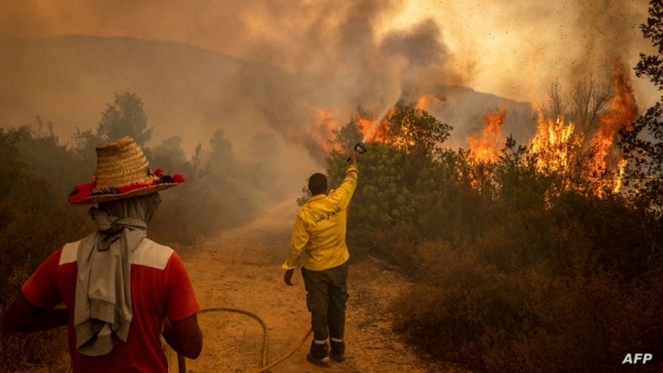 المغرب تواصل اخماد الحرائق لليوم الخامس على التوالي