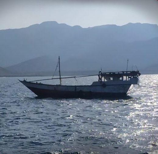 سقطرى..فقدان الاتصال بقارب بعد مغادرته ميناء نشطون في يوليو الماضي