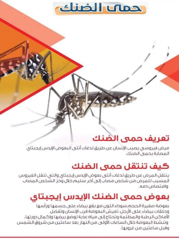 انتشار حمى الضنك في محافظة تعز