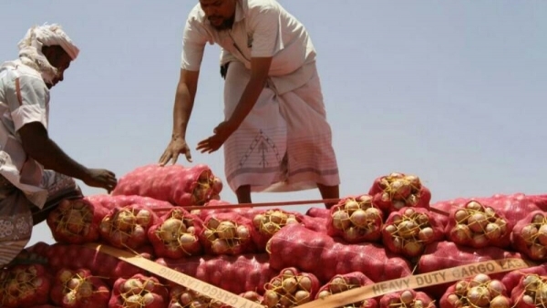 الحكومة تلغي قرار حظر تصدير البصل إلى الخارج
