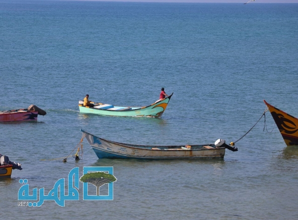 معاناة الصيادين في شقرة