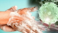 دراسة: فيروس كورونا يبقى على الجلد البشري 9 ساعات