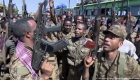 الجيش الإثيوبي يعلن سيطرته على تيغراي وسط دعوات للمقاومة