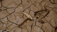 الجفاف "يفتك" بالصومال و7.7 ملايين شخص مهددون بالموت