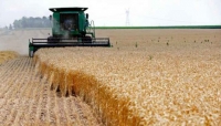 مسؤول روسي: توريد الحبوب الروسية لدول العالم سيكون بالروبل
