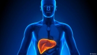 دراسة: اتباع نظام غذائي "عالي الدهون" يقلل من تطور مرض الكبد الدهني