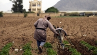 ارتفاع التكاليف يهجّر مزارعين يمنيين من أراضيهم