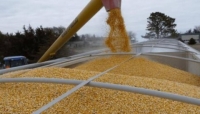 روسيا تقول إنها مستعدة لتصدير 30 مليون طن من الحبوب بنهاية العام