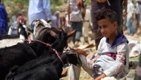 مع اقتراب عيد الأضحى...الكثير من اليمنيين يعزفون عن شراء الأضاحي بسبب الغلاء الفاحش!  (تقرير خاص)