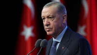 أردوغان: وثائقنا لها وقع كبير في دعوى "الإبادة الجماعية" ضد إسرائيل