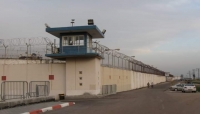 هيئة الأسرى الفلسطنيين: 78 معتقلة يواجهن الموت يومياً في سجن "الدامون" الإسرائيلي